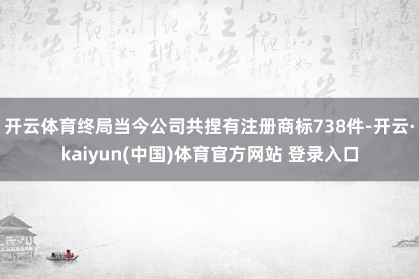 开云体育终局当今公司共捏有注册商标738件-开云·kaiyun(中国)体育官方网站 登录入口