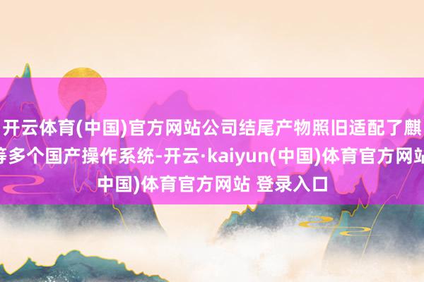 开云体育(中国)官方网站公司结尾产物照旧适配了麒麟、统信等多个国产操作系统-开云·kaiyun(中国)体育官方网站 登录入口