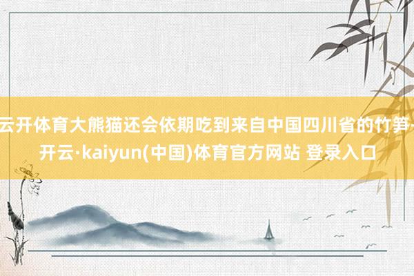 云开体育大熊猫还会依期吃到来自中国四川省的竹笋-开云·kaiyun(中国)体育官方网站 登录入口